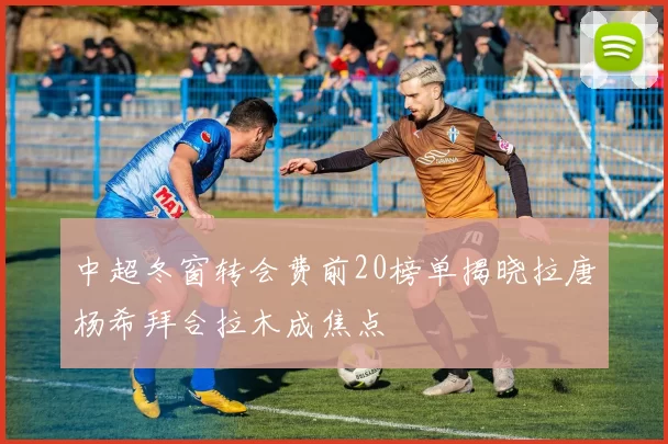中超冬窗转会费前20榜单揭晓拉唐杨希拜合拉木成焦点