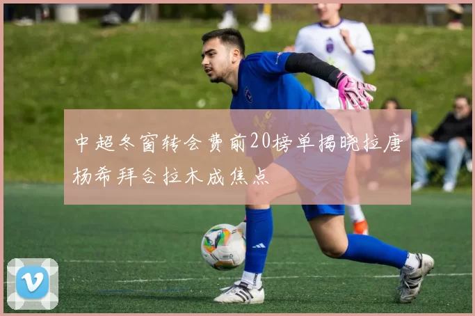 中超冬窗转会费前20榜单揭晓拉唐杨希拜合拉木成焦点
