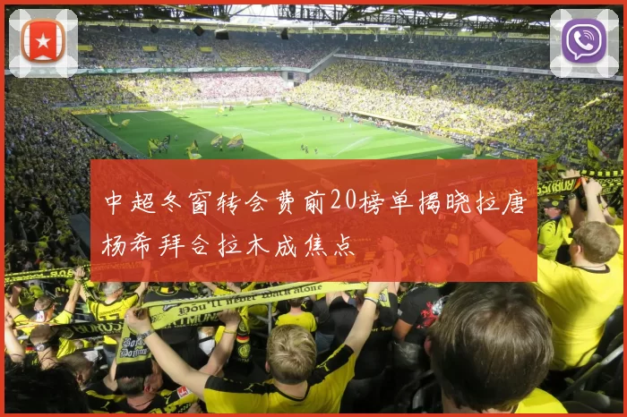 中超冬窗转会费前20榜单揭晓拉唐杨希拜合拉木成焦点