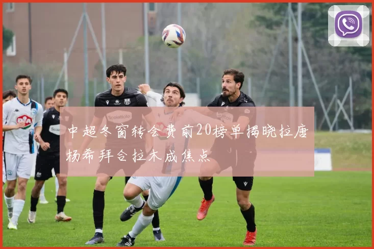 中超冬窗转会费前20榜单揭晓拉唐杨希拜合拉木成焦点