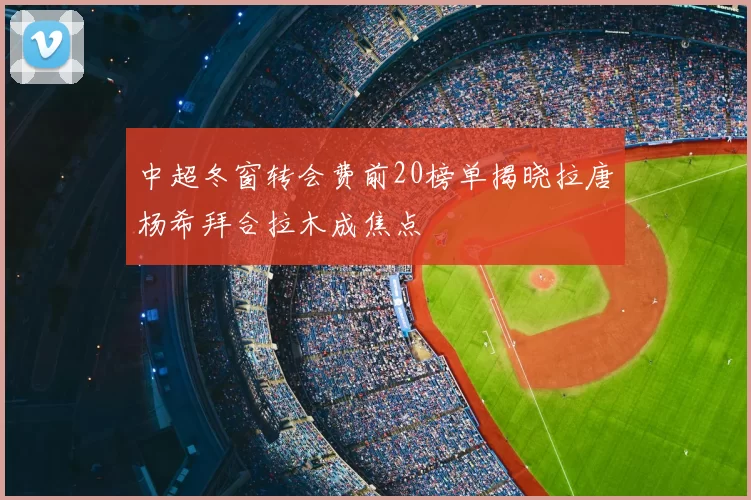 中超冬窗转会费前20榜单揭晓拉唐杨希拜合拉木成焦点