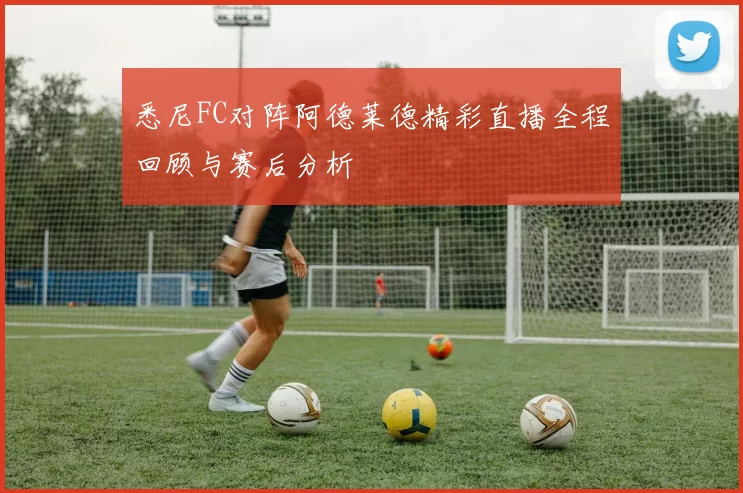 悉尼FC对阵阿德莱德精彩直播全程回顾与赛后分析