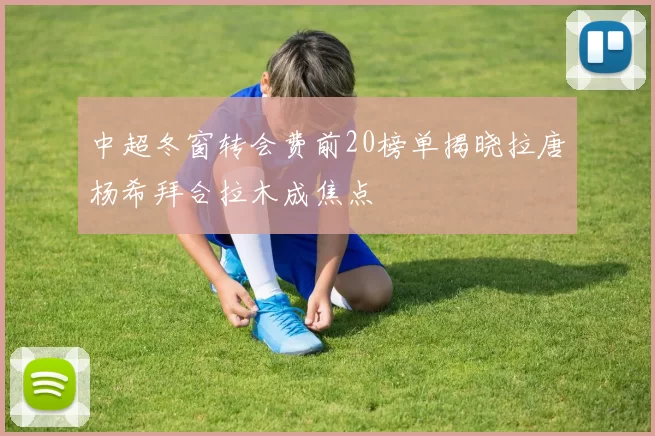 中超冬窗转会费前20榜单揭晓拉唐杨希拜合拉木成焦点