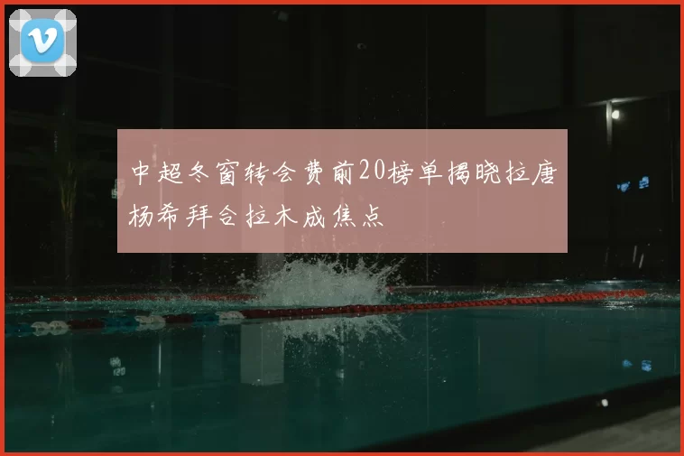 中超冬窗转会费前20榜单揭晓拉唐杨希拜合拉木成焦点