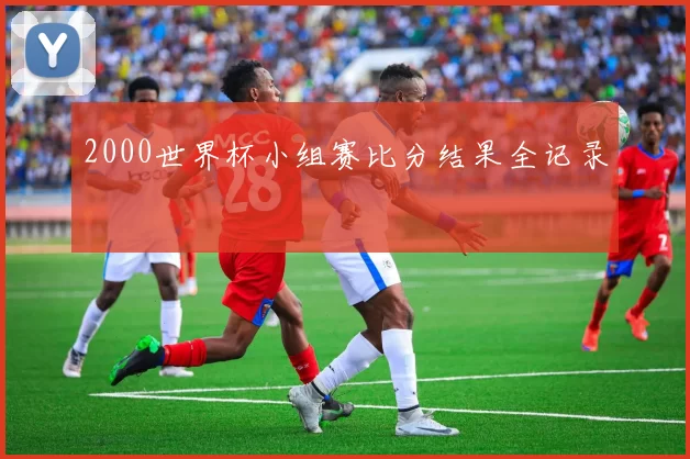 2000世界杯小组赛比分结果全记录