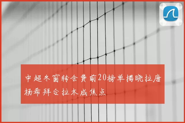 中超冬窗转会费前20榜单揭晓拉唐杨希拜合拉木成焦点