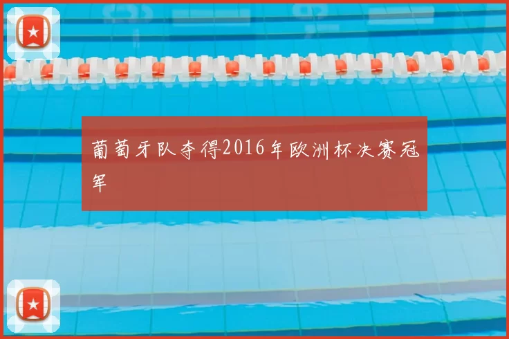 葡萄牙队夺得2016年欧洲杯决赛冠军