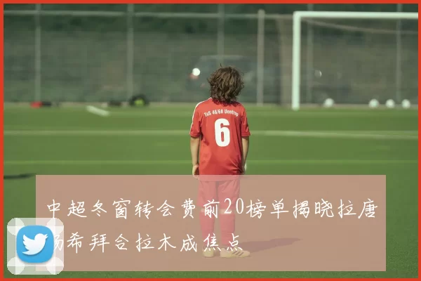 中超冬窗转会费前20榜单揭晓拉唐杨希拜合拉木成焦点