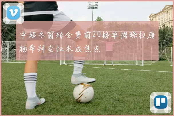 中超冬窗转会费前20榜单揭晓拉唐杨希拜合拉木成焦点
