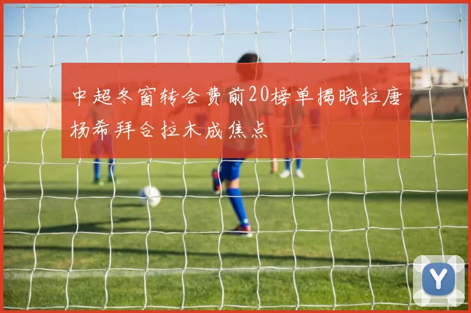 中超冬窗转会费前20榜单揭晓拉唐杨希拜合拉木成焦点
