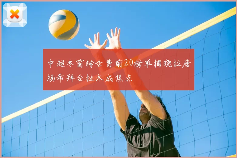 中超冬窗转会费前20榜单揭晓拉唐杨希拜合拉木成焦点