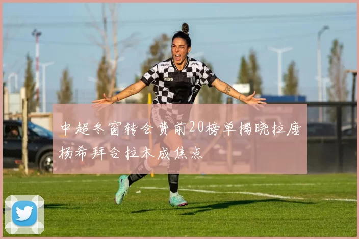 中超冬窗转会费前20榜单揭晓拉唐杨希拜合拉木成焦点