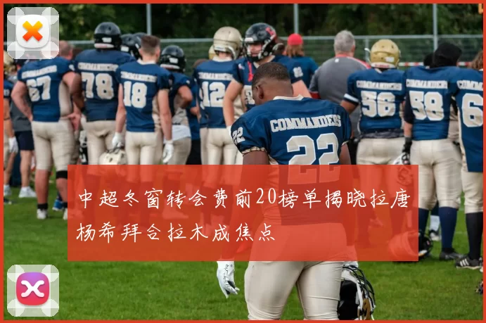 中超冬窗转会费前20榜单揭晓拉唐杨希拜合拉木成焦点