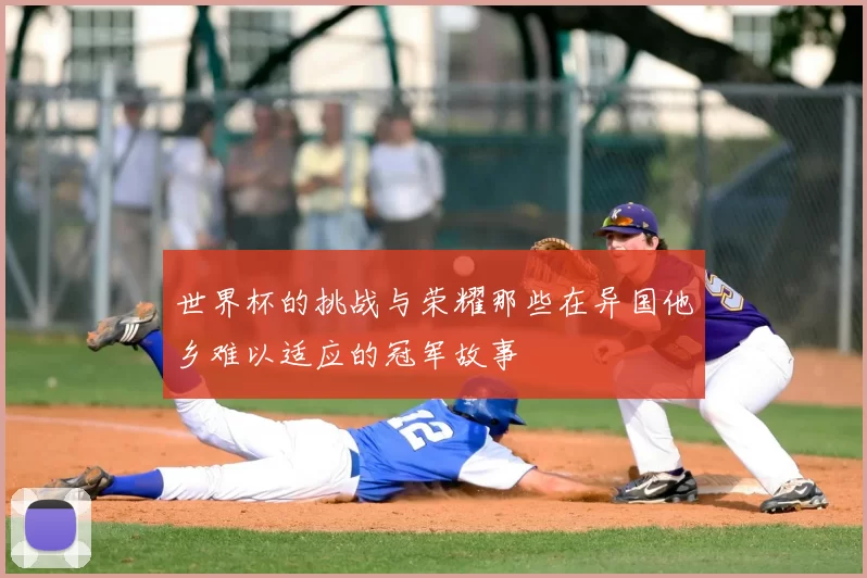 世界杯的挑战与荣耀那些在异国他乡难以适应的冠军故事