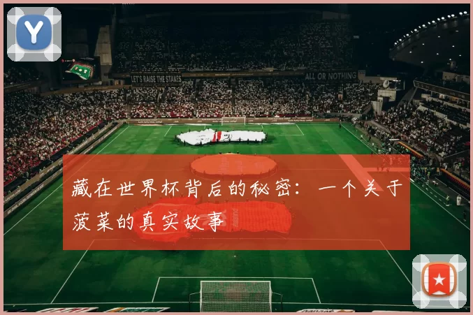 藏在世界杯背后的秘密:一个关于菠菜的真实故事