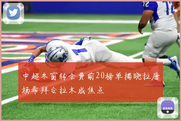 中超冬窗转会费前20榜单揭晓拉唐杨希拜合拉木成焦点