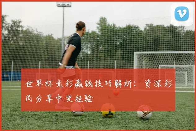 世界杯竞彩赢钱技巧解析:资深彩民分享中奖经验