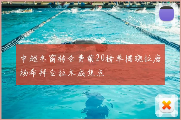中超冬窗转会费前20榜单揭晓拉唐杨希拜合拉木成焦点
