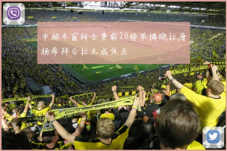 中超冬窗转会费前20榜单揭晓拉唐杨希拜合拉木成焦点