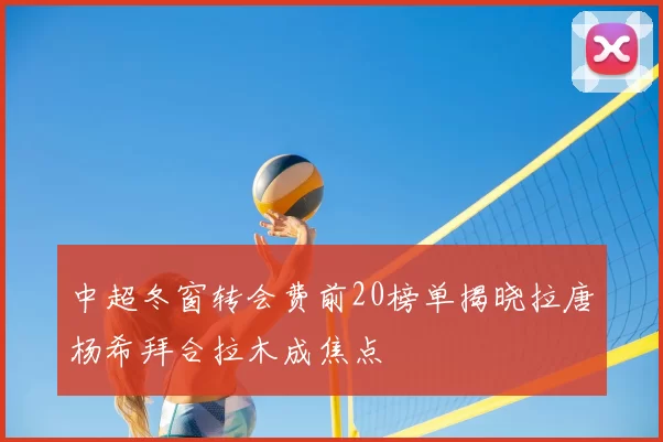 中超冬窗转会费前20榜单揭晓拉唐杨希拜合拉木成焦点