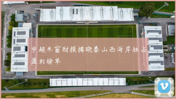 中超冬窗财报揭晓泰山西海岸独占盈利榜单