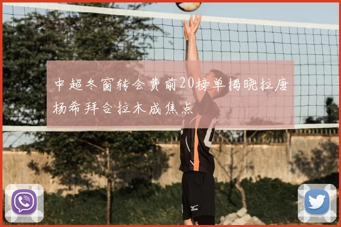 中超冬窗转会费前20榜单揭晓拉唐杨希拜合拉木成焦点