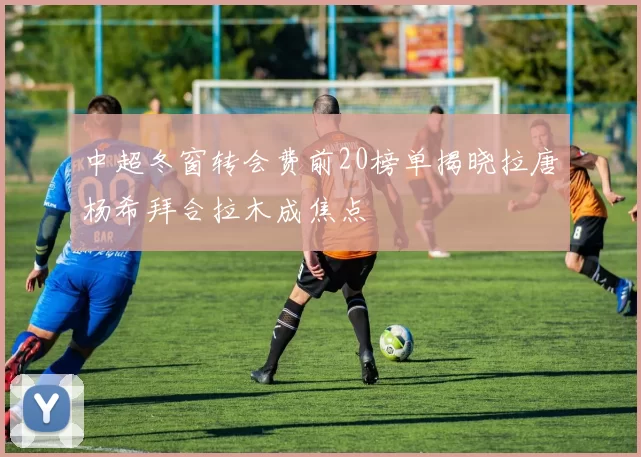 中超冬窗转会费前20榜单揭晓拉唐杨希拜合拉木成焦点