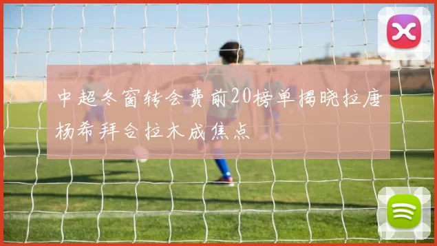 中超冬窗转会费前20榜单揭晓拉唐杨希拜合拉木成焦点