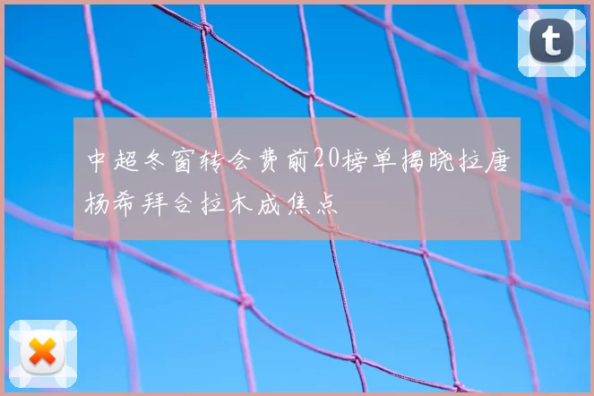 中超冬窗转会费前20榜单揭晓拉唐杨希拜合拉木成焦点