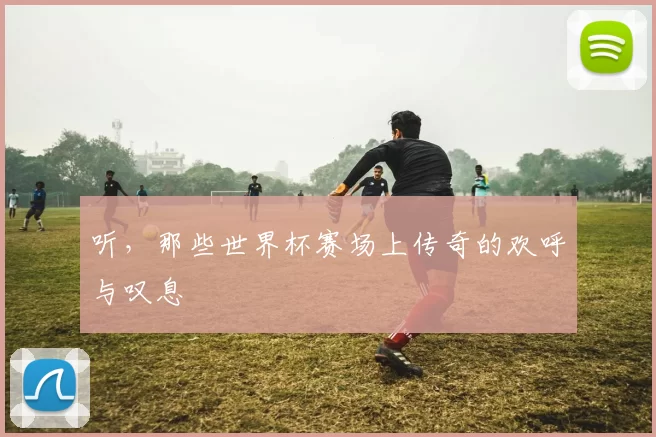 听，那些世界杯赛场上传奇的欢呼与叹息