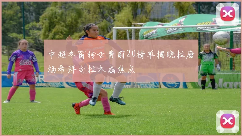 中超冬窗转会费前20榜单揭晓拉唐杨希拜合拉木成焦点