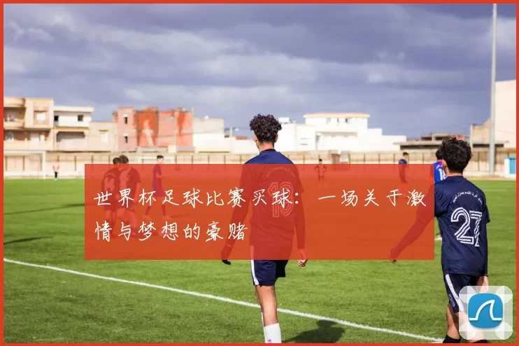 世界杯足球比赛买球:一场关于激情与梦想的豪赌