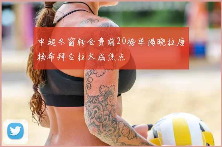 中超冬窗转会费前20榜单揭晓拉唐杨希拜合拉木成焦点