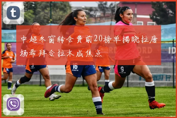 中超冬窗转会费前20榜单揭晓拉唐杨希拜合拉木成焦点