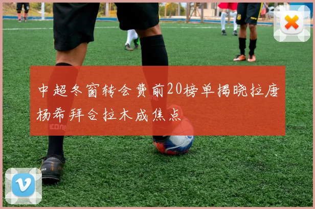 中超冬窗转会费前20榜单揭晓拉唐杨希拜合拉木成焦点