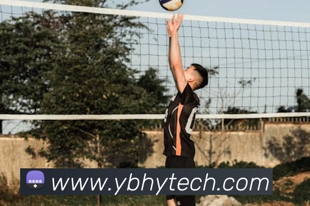 九游体育平台生态图