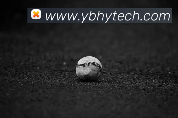 九游体育APP 封面图